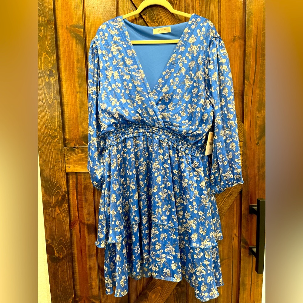 NWT - Altr’d State - A Beautiful Soul - Blue Floral Dress - 2x